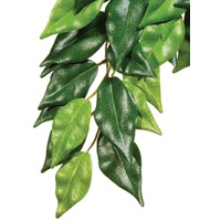 Exo Terra Hanging Rainforest Plant - Ficus