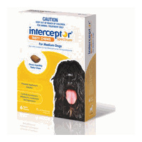 Interceptor Spectrum for Medium Dogs 11-22 kgs - 12 Pack - Yellow