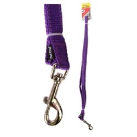 Pet One Reflective Nylon Dog Leash - Purple