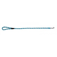 Prestige Pet Mountain Dog Leash - Turquoise