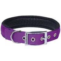 Prestige Pet Soft Padded Nylon Dog Collar - Purple