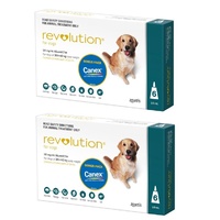 Revolution for Dogs 20.1-40 kgs - 12 Pack - Teal - 2 Extra Vials Free