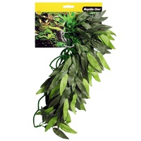 Reptile One Tradescantia Cascading Plant - Green