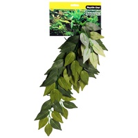 Reptile One Varigated Ivy Cascading Plant - Green