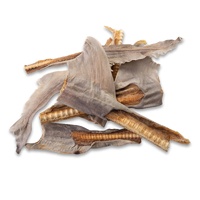 Shark Cartilage Tail - Single