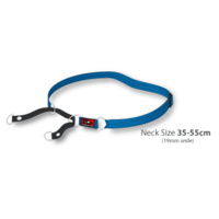 Black Dog Training Collar Heavy Duty - Large - 25mm x 49-68cm