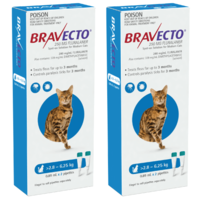 Bravecto Spot-On for Medium Cats 2.8-6.25kg - Blue (12 Months)