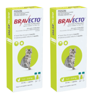 Bravecto Spot-On for Small Cats 1.2-2.8kg - Green (12 Months)