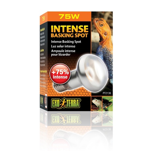 Exo Terra Intense Basking Spot Lamp - 75 Watt