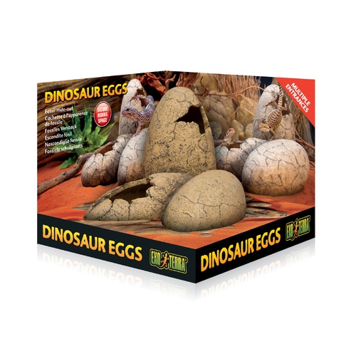 Exo Terra Dinosaur Eggs Fossil Hide-Out
