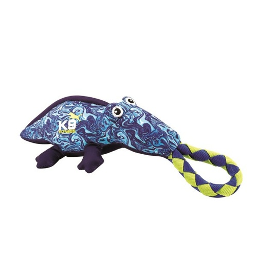 K9 Fitness Hydro Alligator - 10x28cm