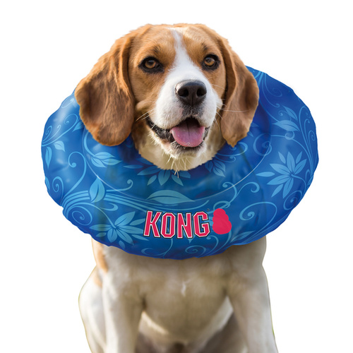 kong dog collar cushion