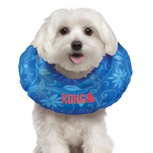 kong dog collar cushion