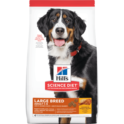 Hill's Science Diet Adult Dog Large Breed - 12kg