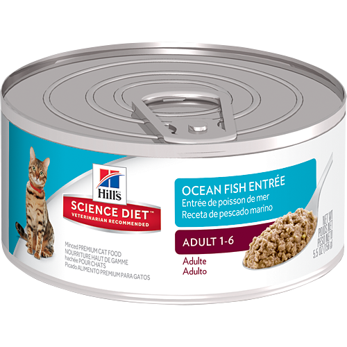 Hill's Science Diet Feline Adult Ocean Fish Entree - 156g