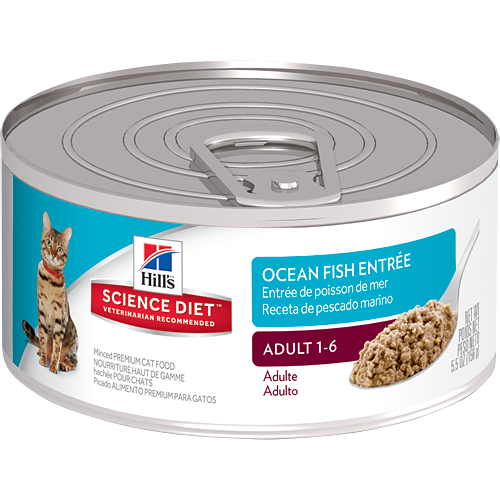 Hill's Science Diet Feline Adult Ocean Fish Entree - 156g