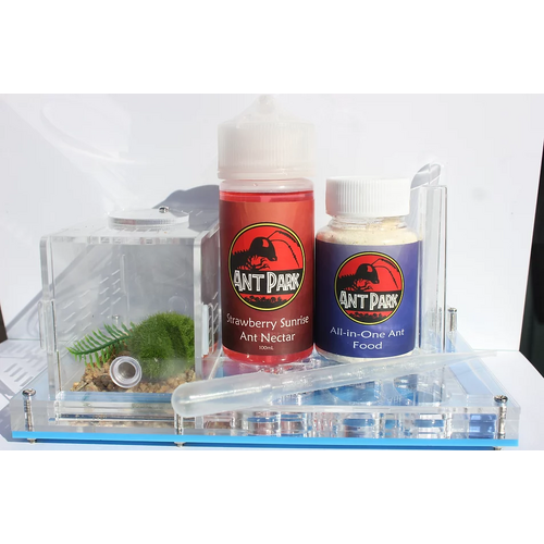 Ant Park Starter Kit