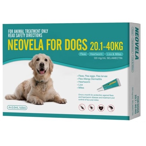 Neovela for Dogs 20.1-40 kgs - 4 Pack - Teal