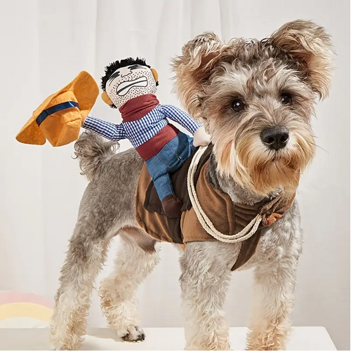 Cowboy Riding Dog Costume - X-Large