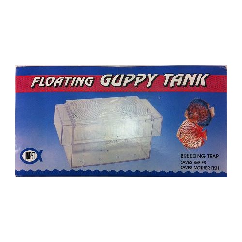 Floating Guppy Tank