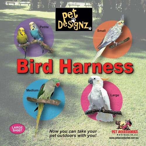 Bird Harness - Small (Cockatiel Size) (Black)