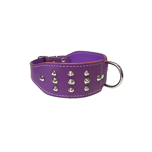 Studded Staffy Dog Collar - 75cm (Purple)