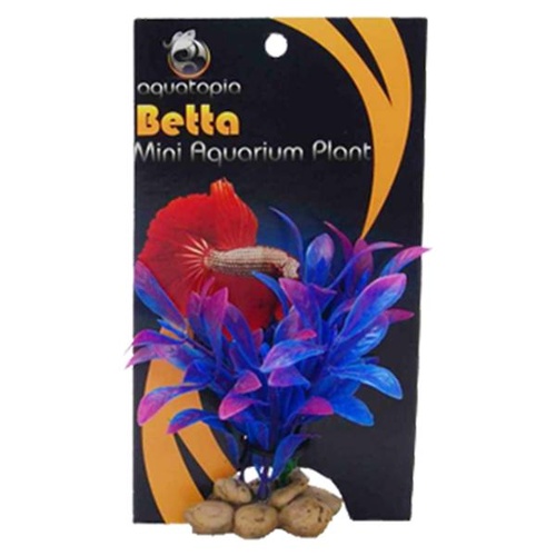 Betta Mini Aquarium Plant - Purple/Blue