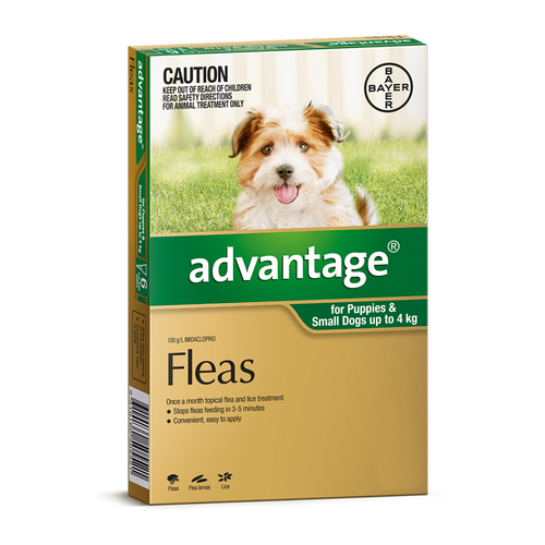 Advantage for Dogs up to 4 kgs - 4 Pack - Green
