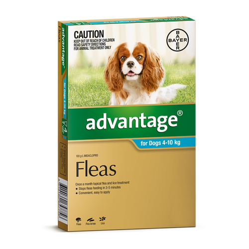 Advantage for Dogs 4-10 kgs - 4 Pack - Teal