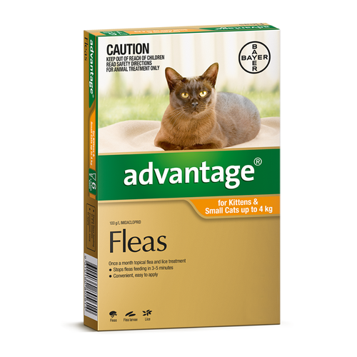 Advantage for Cats up to 4 kgs - 4 Pack - Orange