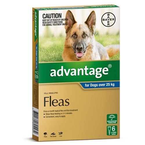 Advantage for Dogs over 25 kgs - 6 Pack - Blue