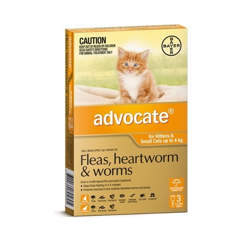 Advocate for Cats up to 4 kgs - 3 Pack - Orange
