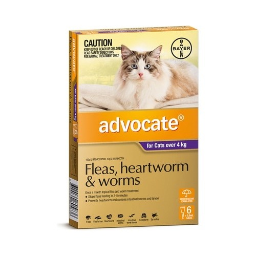 Advocate for Cats over 4 kgs - 6 Pack - Purple