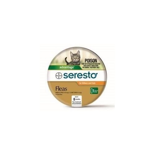 Seresto Flea Tick Collar for Cats Kittens 8 Month Protection Bayer