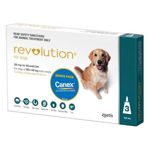 Revolution for Dogs 20.1-40 kgs - 3 Pack - Teal