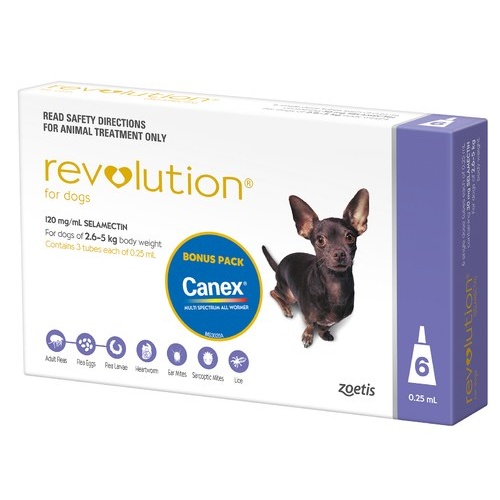 Revolution for Dogs 2.6-5 kgs - 6 Pack - Purple