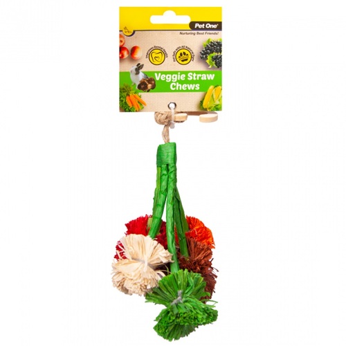 Pet One Small Animal Veggie Straw Chew Hanging Broccoli - 14cm