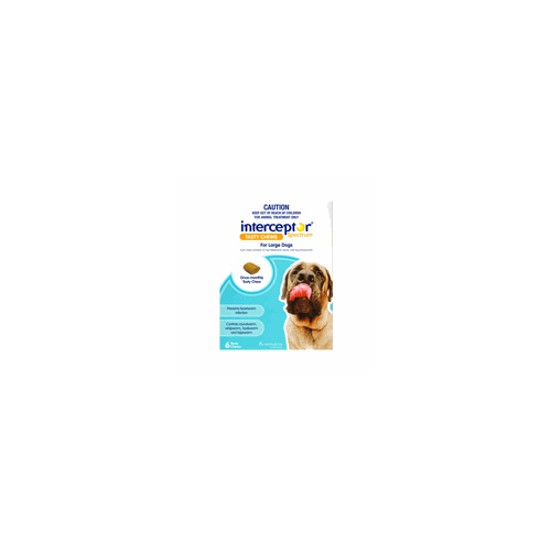 Interceptor Spectrum for Large Dogs 22-45 kgs - 6 Pack - Blue