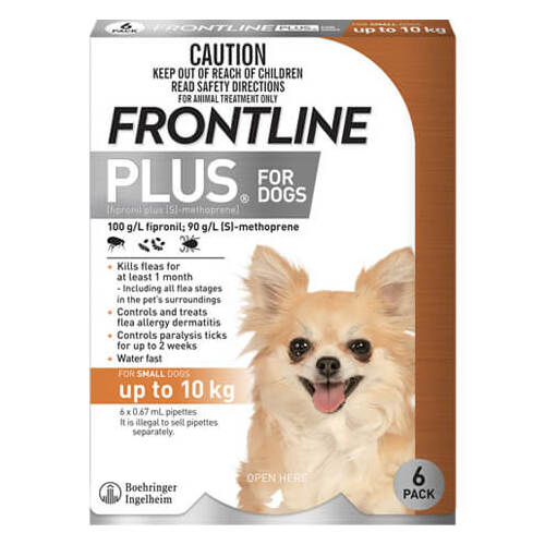 Frontline Plus for Small Dogs up to 10 kgs - 6 Pack - Orange
