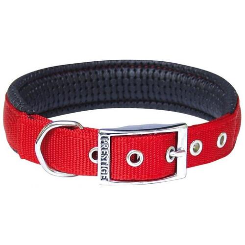 red dog collar