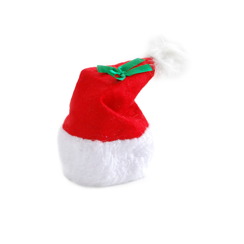 All Pet Christmas Santa Hat