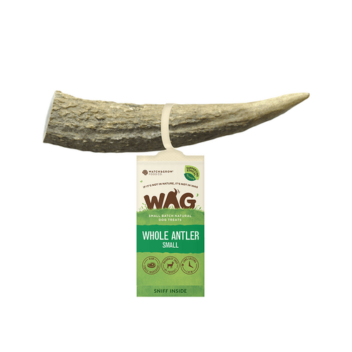 WAG Whole Deer Antler - Small (45-75g)