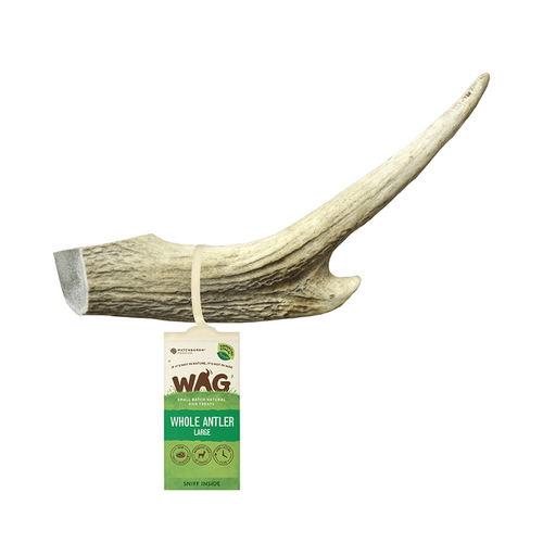 WAG Whole Deer Antler - Large (140-190g)