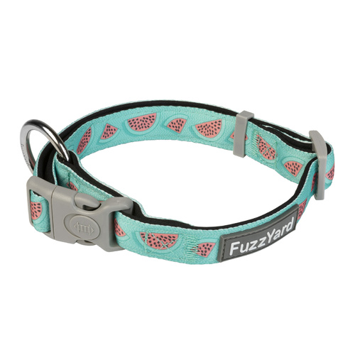 FuzzYard Dog Collar - Summer Punch - Small (15mm x 25-38cm)