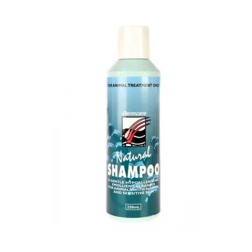 Dermcare Natural Shampoo - 250ml