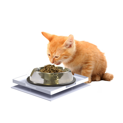 Ant Proof Plate for Dog & Cat Food Bowl - Square