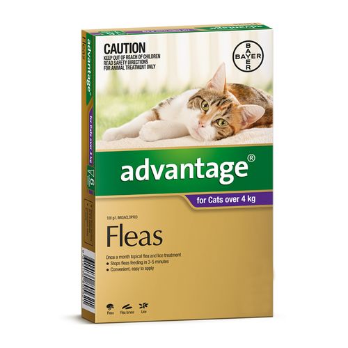 Advantage for Cats over 4 kgs - 12 Pack - Purple