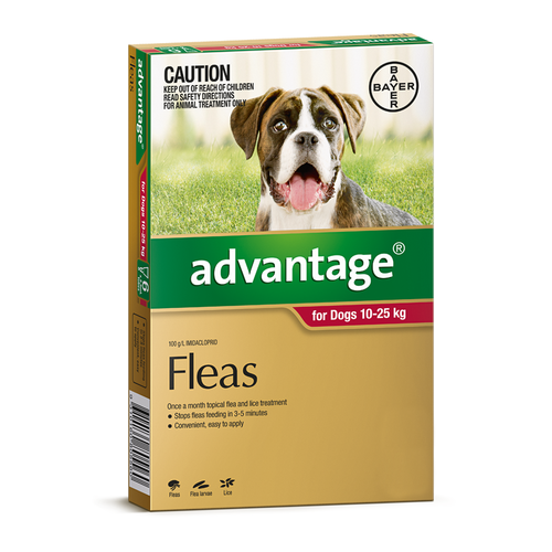 Advantage for Dogs 10-25 kgs - 12 Pack - Red