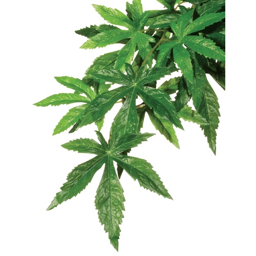 Exo Terra Hanging Rainforest Plant - Abutilon