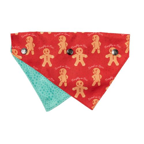 FuzzYard Naughty Ginger Bandana